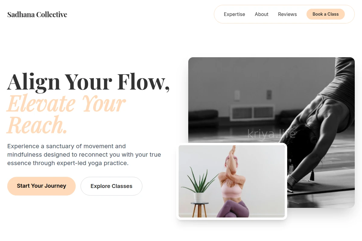 Root Yoga Studio